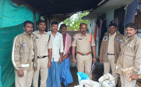 సార బెల్లం పట్టివేత