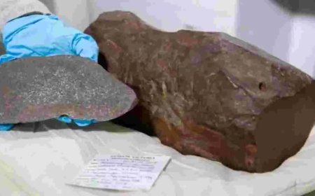 ఒక్క రాయితో  అపర కోటీశ్వరుడు