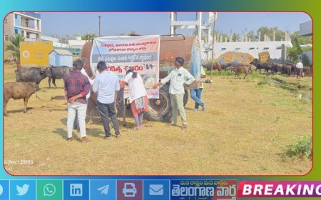 ఉచిత గర్భకోశ వ్యాధుల చికిత్స శిబిరం