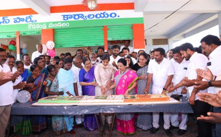 శాసనసభ్యులు యశస్విని రెడ్డి జన్మదిన వేడుకలు