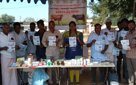 ఉచిత పశువైద్య శిబిరం