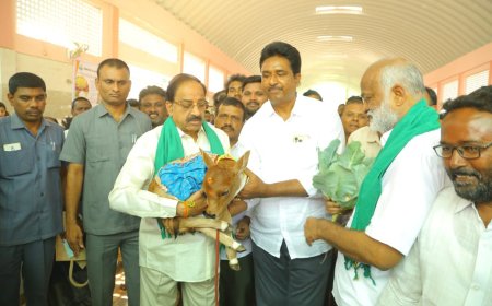 మెగా ఆర్గానిక్ మేళను ప్రారంభించిన""మంత్రి తుమ్మల నాగేశ్వరావు