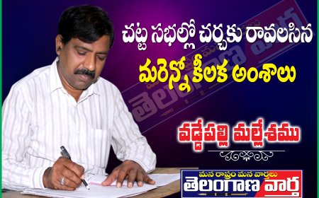 చట్టసభల్లో చర్చకు రావాల్సిన మరెన్నో కీలక అంశాలు.