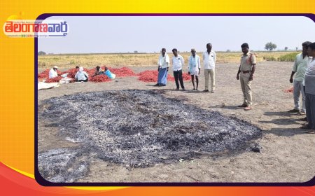 40  క్వింటాల మిర్చి కుప్పని తగలబెట్టిన గుర్తు తెలియని వ్యక్తులు.