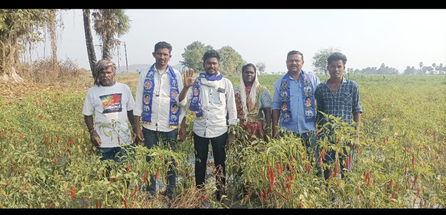 రైతులను ప్రభుత్వం ఆదుకోవాలి