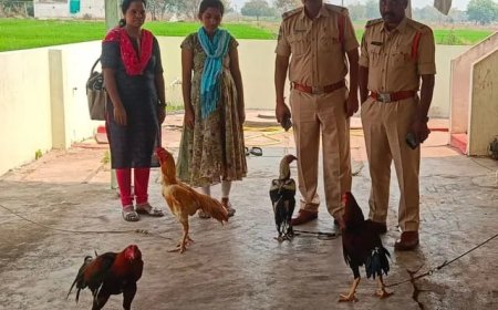 కోడి పందేల నిర్వాహకులపై కేసు నమోదు మద్దిరాల ఎస్ఐ వీరన్న