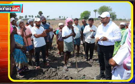 ఉపాధిహామీ కూలీలకు వసతులు కల్పించాలి కలెక్టర్ తేజస్ నందలాల్ పవార్