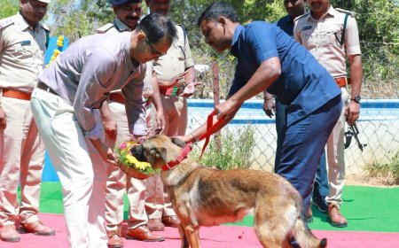 సూర్యాపేట జిల్లా నేరస్తుల గుండెల్లో గూబులే ఇక ఈ జాగిరాలతో