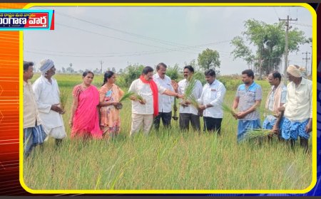 మూసి ఎడమ కాలువ పరిధిలోని ఆయకట్టు రైతాంగాన్ని ఆదుకోవాలి.