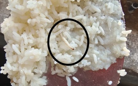 పురుగుల అన్నం.. నీళ్ల చారు...