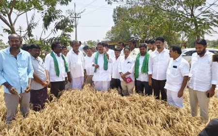 ప్రభుత్వ వైఫల్యంతోనే ఎండుతున్న పంటలు..