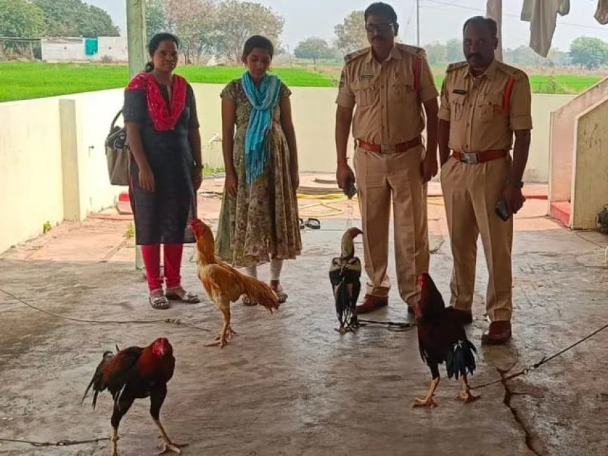 కోడి పందేల నిర్వాహకులపై కేసు నమోదు మద్దిరాల ఎస్ఐ వీరన్న