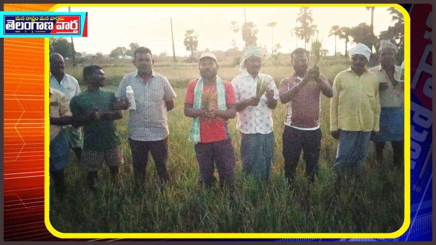 మా పంటలు పండాలంటే బిక్కీరులోకి నీరు వదలాలని ప్రాంత రైతులను ఎండిన పొలంలో నిరసన మందు డబ్బాలతో జానకిపురం గ్రామ రైతులు