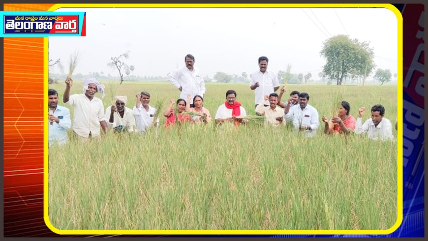 మూసి ఎడమ కాలువ పరిధిలోని ఆయకట్టు రైతాంగాన్ని ఆదుకోవాలి.