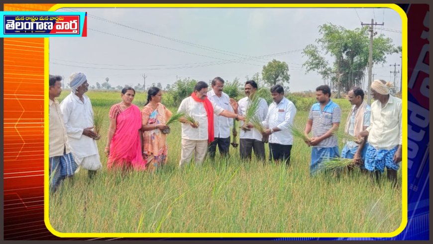 మూసి ఎడమ కాలువ పరిధిలోని ఆయకట్టు రైతాంగాన్ని ఆదుకోవాలి.