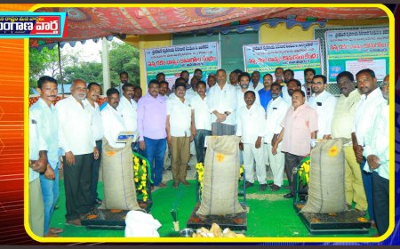 ఇది రైతు ప్రభుత్వం ఎమ్మెల్యే బిఎల్ఆర్