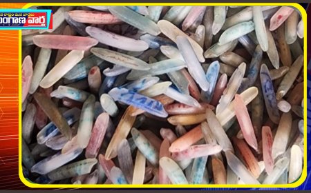 బియ్యపు గింజ పై శ్రీరామ నామo