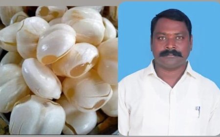 తాటి ముంజ సీజనల్ ఫ్రూట్ దాసరి వీరన్న