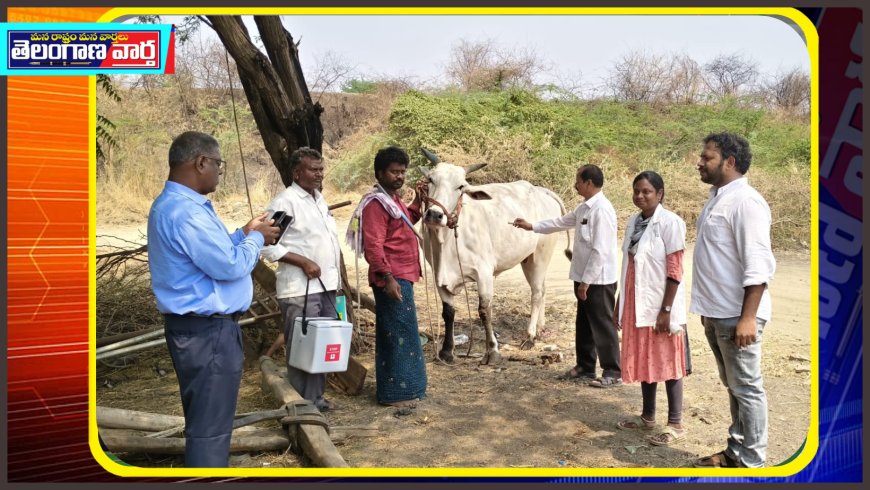 గాలి కుంటూవ్యాధి నివారణ టీకాల కార్యక్రమం