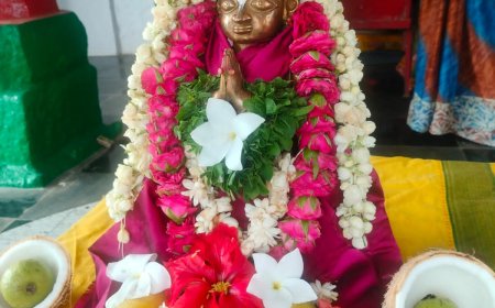 పిల్లలమర్రిలో శ్రీ భగవత్ రామానుజాచార్యుల తిరు నక్షత్ర వేడుకలు 