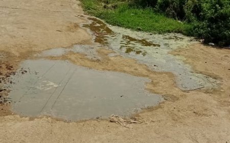 రోడ్డుపై మురుగు నీరు  పట్టించుకోని గ్రామ పంచాయతీ.