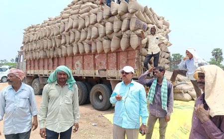 ధాన్యం కొనుగోలను వేగవంతం చేయాలి