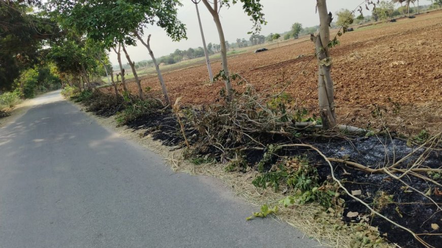 హరిత హారం చెట్లు అగ్నికి అహుతి