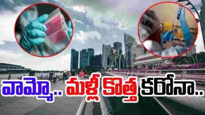 New Covid-19: వామ్మో.. మళ్లీ ఎంటరైన కొత్త కరోనా.. ఆ దేశాల్లో మరీ దారుణంగా