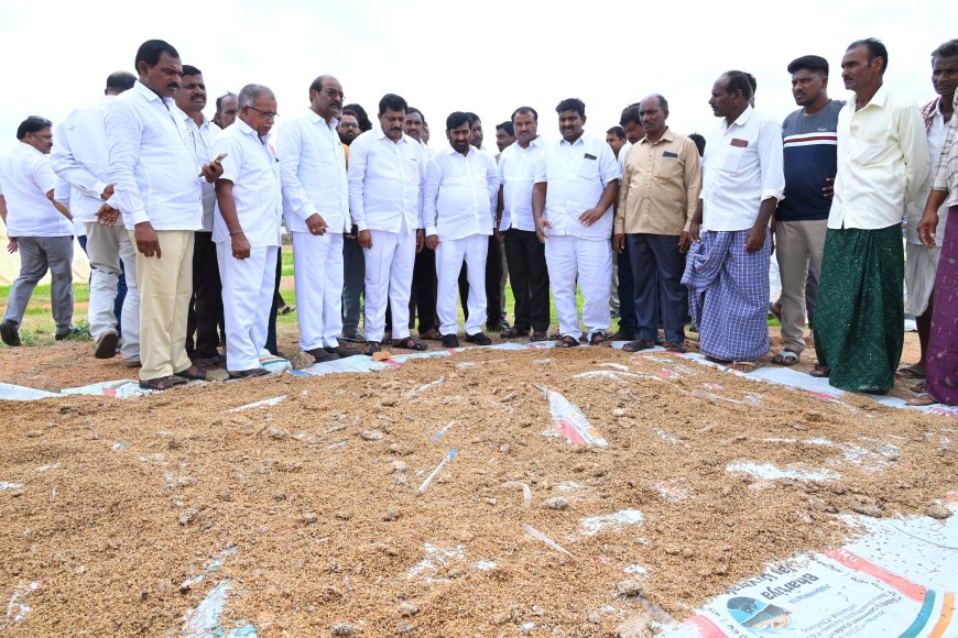 ఐకేపీ సెంటర్లో తడిసి మొలకేత్తిన వడ్లను పరిశీలించిన మాజీ మంత్రి స్థానిక ఎమ్మెల్యే జగదీశ్ రెడ్డి