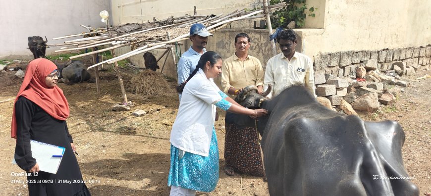 సీజనల్ వ్యాధులు రాకుండా వ్యాధి నిరోధక టీకాలు వేయించాలి
