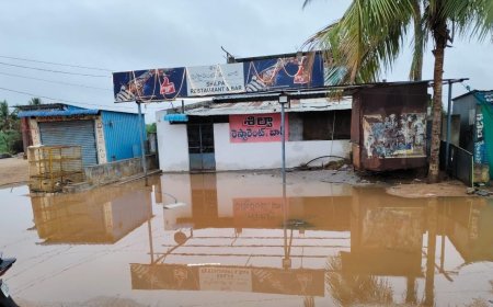 చినుకు రాలితే చాలు ఇప్పుడే చిత్తుడు