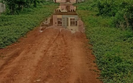 జలమయమైన జిల్లా పశుసంవర్ధక శాఖ కార్యాలయం   