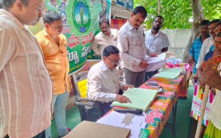 భూ భారతి సదస్సు ను పరిశీలించిన అదనపు కలెక్టర్ ఆర్డిఓ