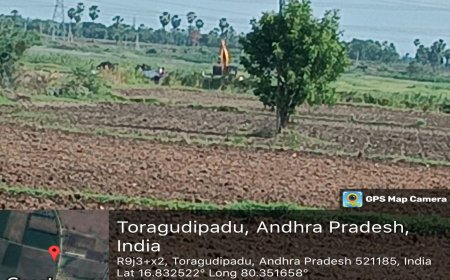 **చెరువు మట్టి అక్రమ రవాణా""నందిగామ మండలం సోమవారం చెరువు*