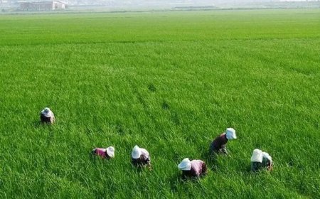 రైతు భరోసా.. నేడే లాస్ట్ డేట్