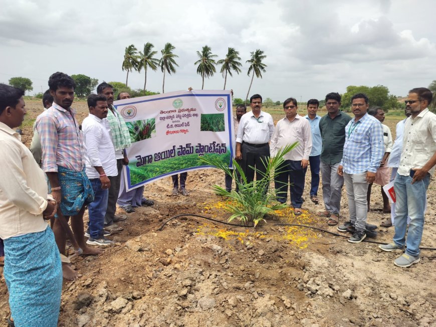 ఆయిల్ ఫామ్ సాగు రైతులకు దీర్ఘకాలికంగా స్థిర ఆదాయం అదనపు కలెక్టర్ నర్సింగ్ రావు.