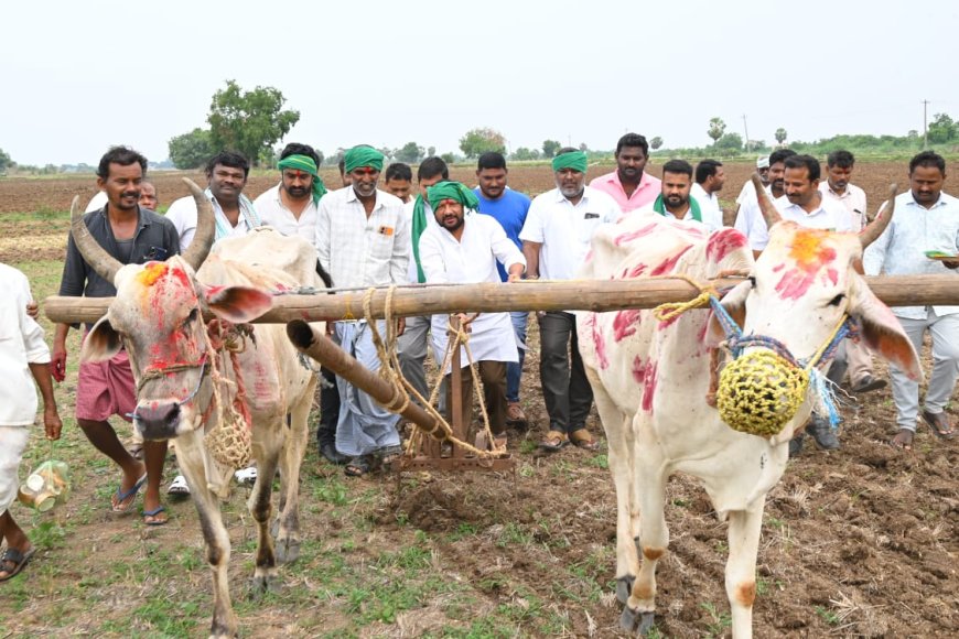 హలం పట్టి.. పొలం దున్నిన మార్కెట్ చైర్మన్ వేణారెడ్డి
