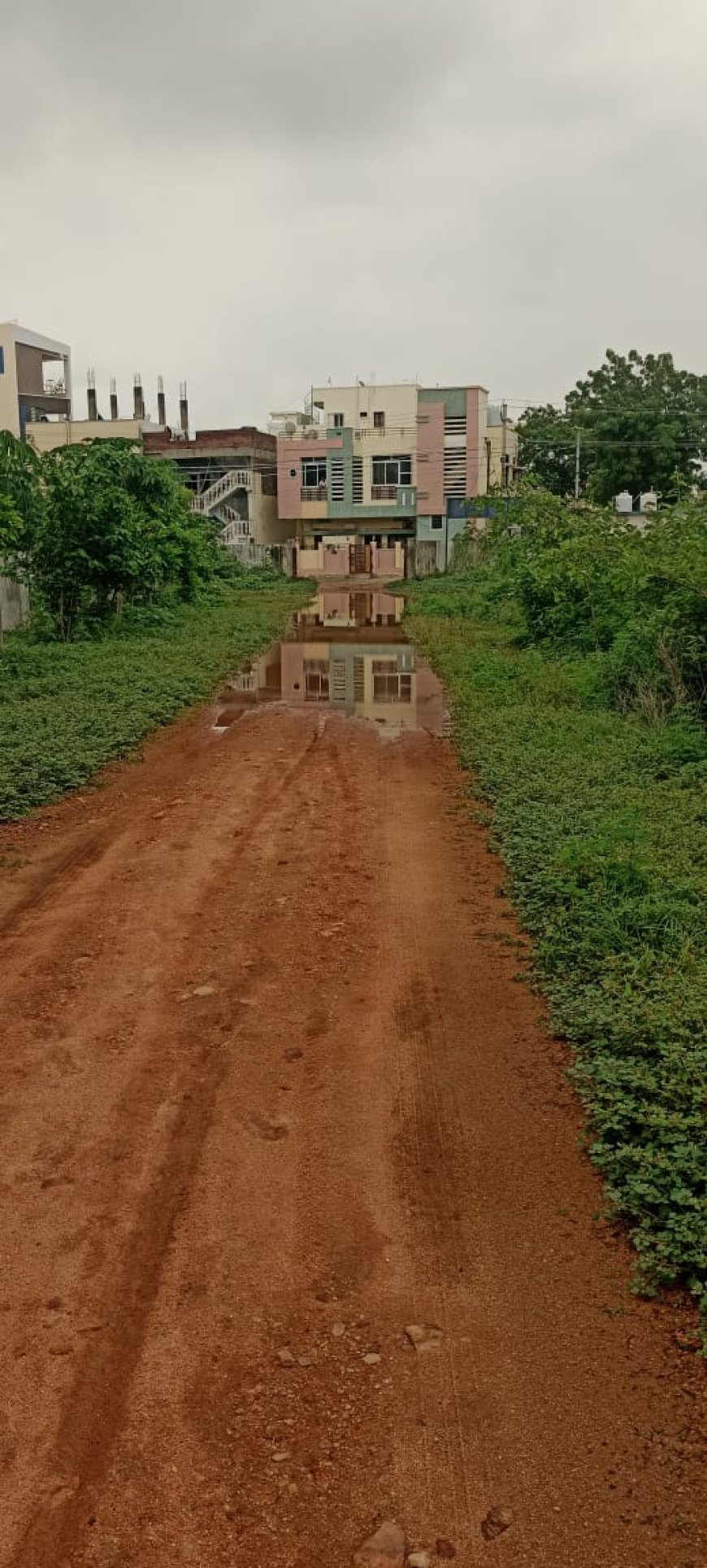 జలమయమైన జిల్లా పశుసంవర్ధక శాఖ కార్యాలయం   