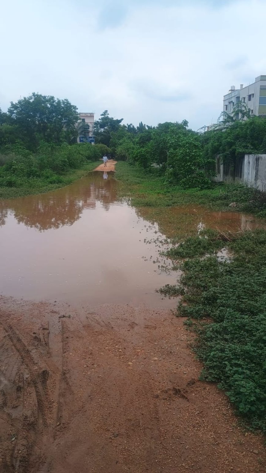 జలమయమైన జిల్లా పశుసంవర్ధక శాఖ కార్యాలయం   