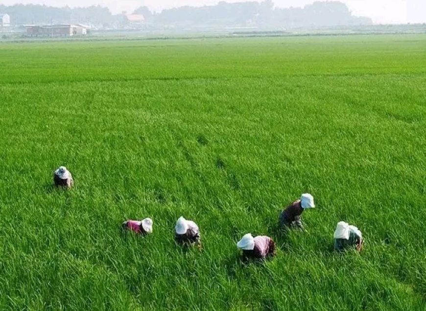 రైతు భరోసా.. నేడే లాస్ట్ డేట్