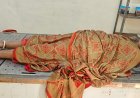 పాము కాటుకు గురై మహిళా మృతి
