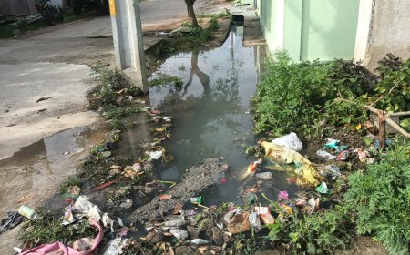 పాలనాధికారులు లేక పడకేసిన పారిశుధ్యం