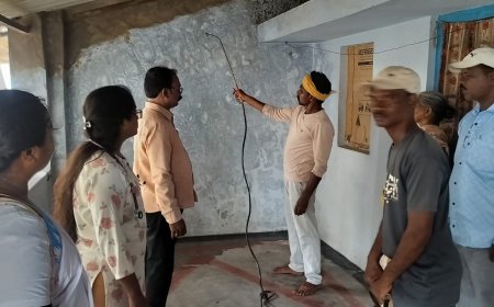 డాక్టర్ హారిక ఆధ్వర్యంలో పలు ఇంట్లో దోమల మందు పిచికారి
