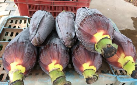 **అరటి పువ్వు "మనకు తెలియని ఎన్నో ఉపయోగాలు**