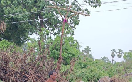 పంట పొలాల్లో ప్రమాదకరంగా విద్యుత్ తీగలు
