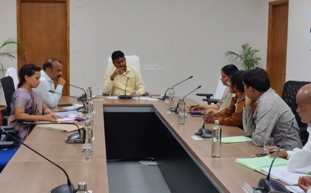 మాతృ మరణాలపై వైద్య ఆరోగ్యసిబ్బందికి సమీక్ష సమావేశం కలెక్టర్