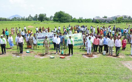 వనమహోత్సవంలో భాగంగా ఈత మొక్కలు నాటిన.....   జిల్లా కలెక్టర్   తేజస్ నంద్ లాల్ పవార్