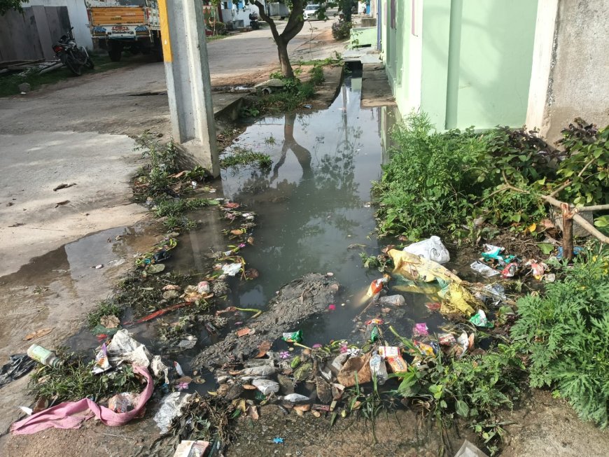 పాలనాధికారులు లేక పడకేసిన పారిశుధ్యం