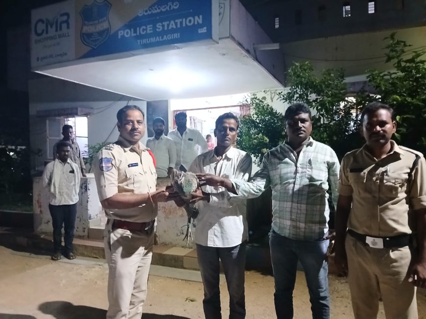 తిరుమలగిరిలో నెమలి...స్వాధీనపరచుకున్న ఫారెస్ట్ అధికారులు
