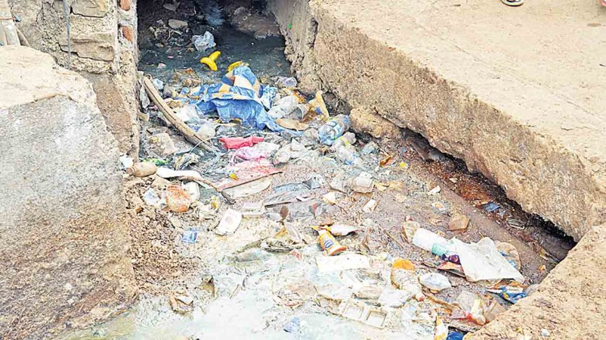 దోమలు బాబోయ్ ..కాపాడండి